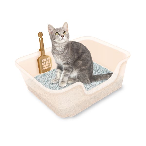 （まとめ） 獣医師開発 ニオイをとる砂専用 猫トイレ 1個 （猫用 ペット用品） 【×3セット】 (代引不可)