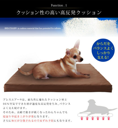 ブレスエアー(R) ペット用マット クッション 大型犬用 洗える 日本製 東洋紡 三次元スプリング構造体 ブレスエアー (R)使用 ペットケアマット Lサイズ