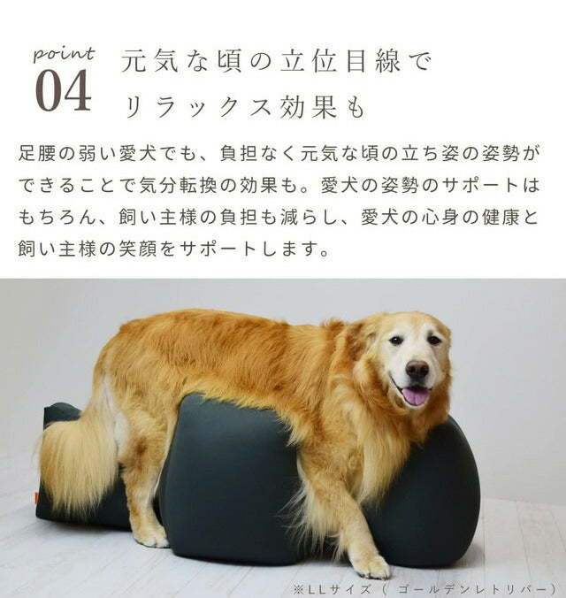 アロン化成 リラクッション L ブルー 日本製 国産 家族 笑顔 足腰 犬 立位保持 立位 支え 犬の立位保持