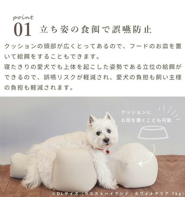 アロン化成 リラクッション S ブルーカバーセット 日本製 国産 足腰 犬 立位保持 撥水カバー ブラウン