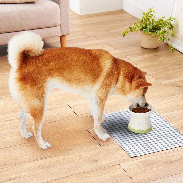 ペティオ アドメイト 犬用食器 フードが食べやすい脚付き陶器食器 Mサイズ