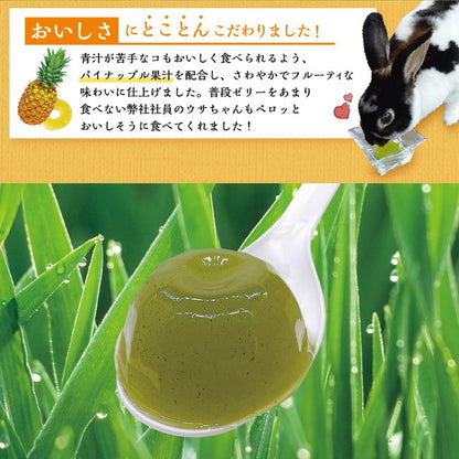 【36個セット】 ミニアニマン 小動物の青汁ゼリー パイナップル果汁入り16g×6個 x36