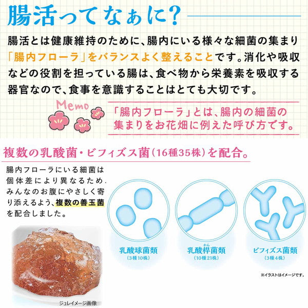 【48個セット】 ミニアニマン 腸活生活 ウサちゃんジュレ 小松菜&にんじん 3g×10個 x48